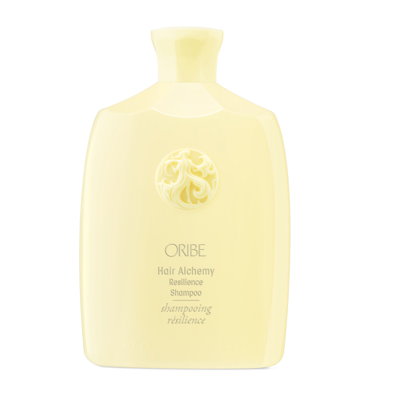 Hair Alchemy Resilience Shampoo 250 ML